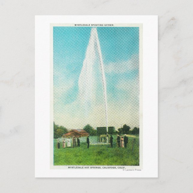 View of the Myrtledale Geyser at the Hot Springs Postcard (Front)