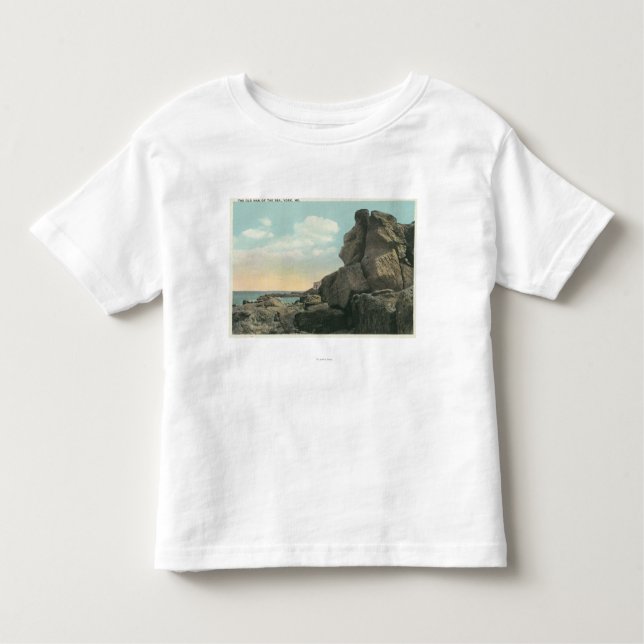 View of the Old Man of the Sea Rock Formation Toddler T-Shirt (Front)