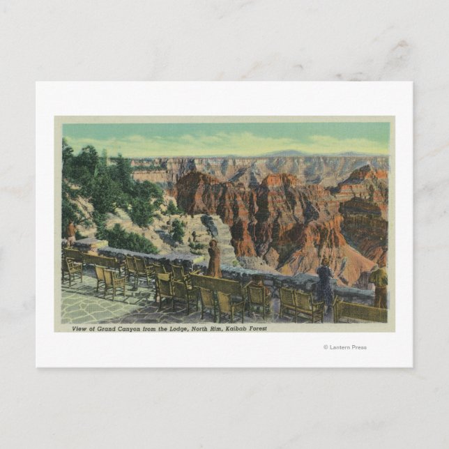 View of the Park Postcard (Front)