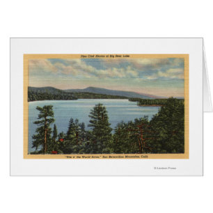 View of the Pine Clad Shores of Lake