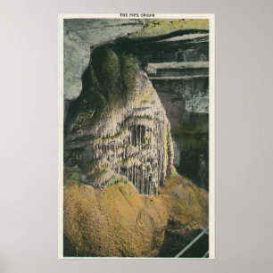 View of the Pipe Organ Poster