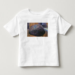 View of the Real Plymouth Rock Toddler T-Shirt