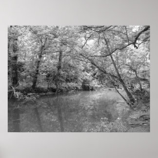 View of the River Poster