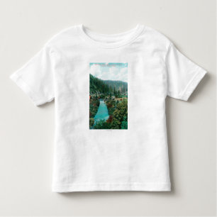 View of the Sacramento River Canyon on SP Toddler T-Shirt