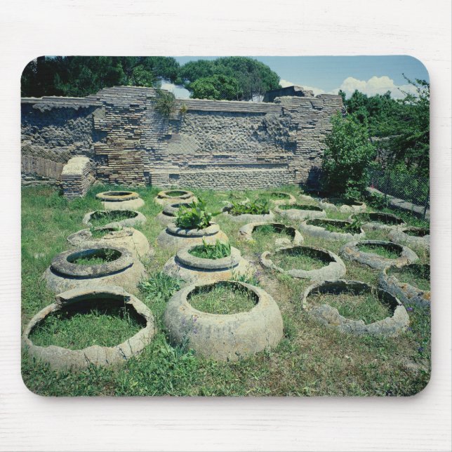 View of the shops mouse pad (Front)