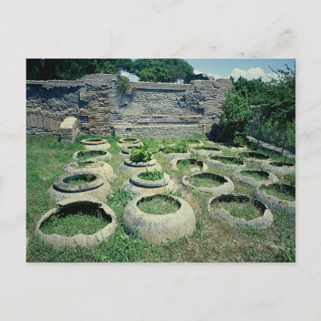 View of the shops postcard (Front)