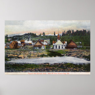 View of the Springs and Town Poster