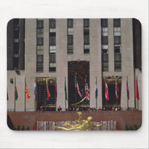 View of the Sunken Plaza Mouse Pad