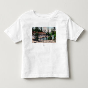 View of the Swimming PoolAdams Springs, CA Toddler T-Shirt