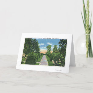 View of the Tanglewood Gardens # 2 Holiday Card
