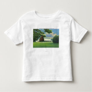 View of the Tanglewood Music Shed and Grounds Toddler T-Shirt