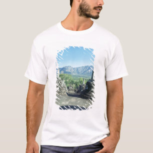 View of the three circular terraces T-Shirt