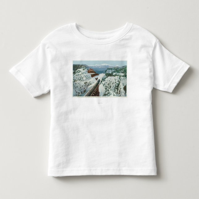 View of the Train at the Summit of the Coast Toddler T-Shirt (Front)