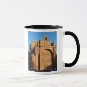 View of the West Front Mug