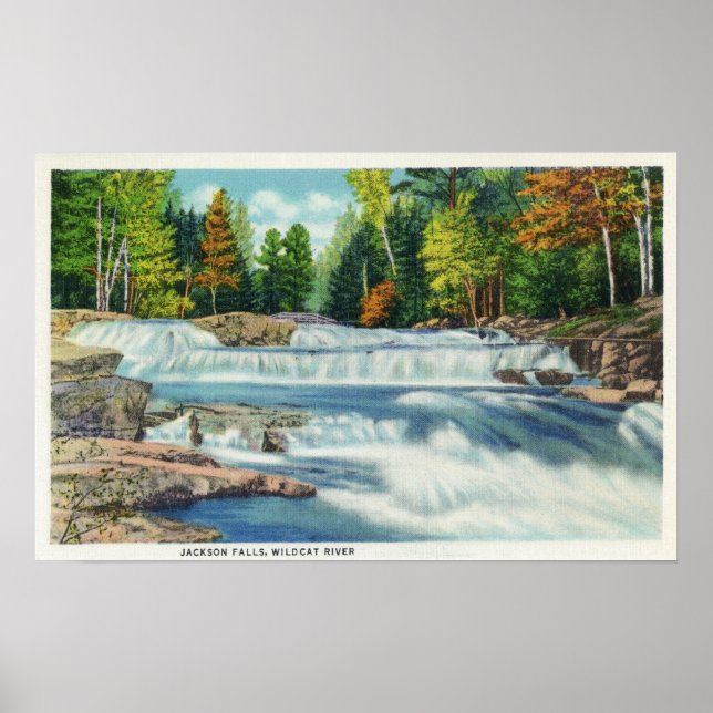 View of the Wild Cat River and Jackson Falls Poster (Front)