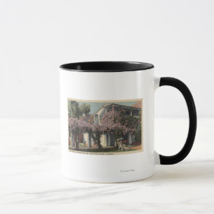 View of the Wisteria Pergola, Oasis Hotel Mug