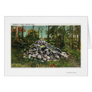 View of Thoreau's Cairn