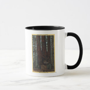 View of "Three Graces" at Big Trees Park Mug
