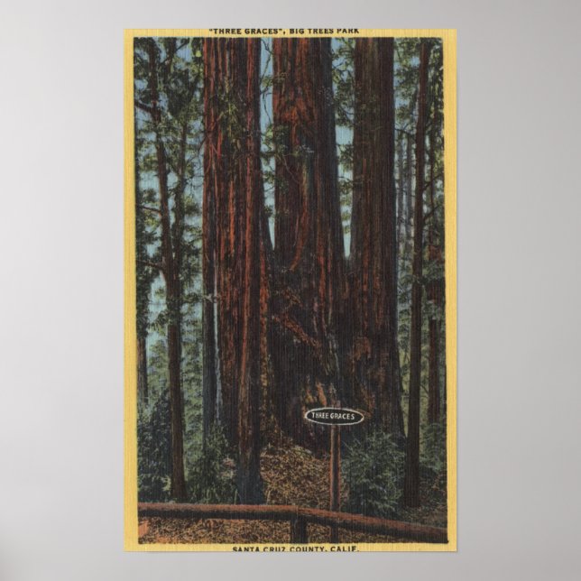 View of "Three Graces" at Big Trees Park Poster (Front)
