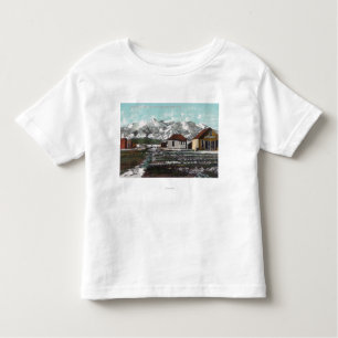 View of Town and Mountain After a Spring Snow Toddler T-Shirt