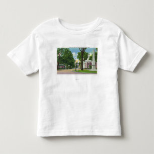View of Town Hall and Paterson Monument Toddler T-Shirt