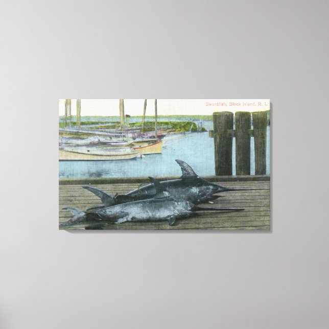 View of Two Swordfish Canvas Print (Front)