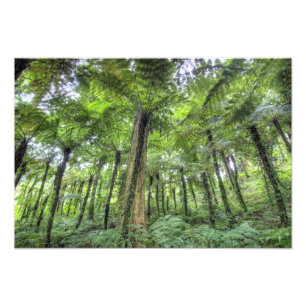 View of vegetation in Bali Botanical Gardens, Photo Print
