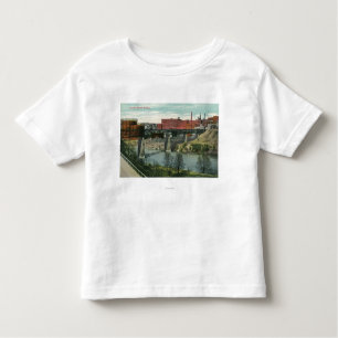View of Vincent Street Bridge Toddler T-Shirt