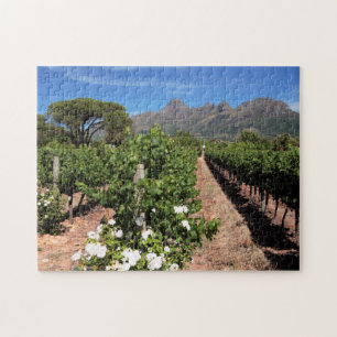 View Of Vineyards. Stellenbosch Jigsaw Puzzle