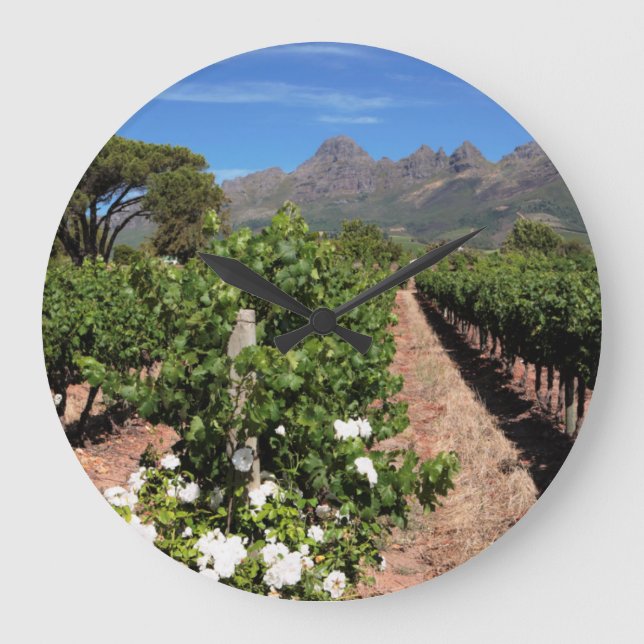 View Of Vineyards. Stellenbosch Large Clock (Front)