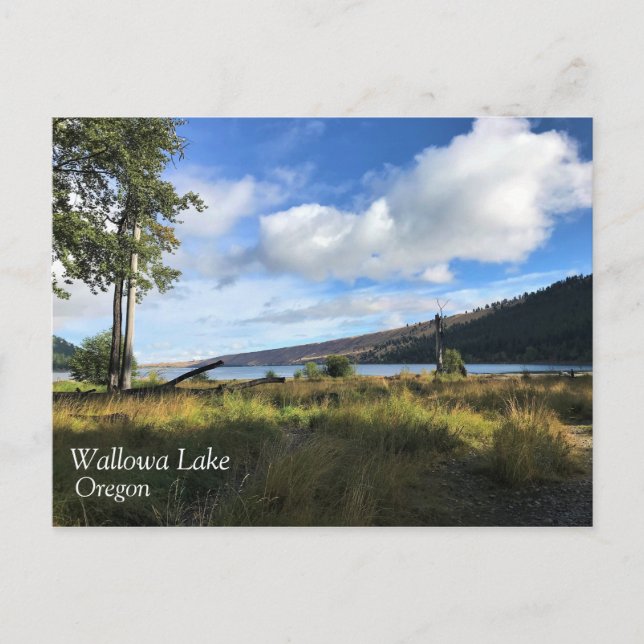 View of Wallowa Lake, Oregon Postcard (Front)