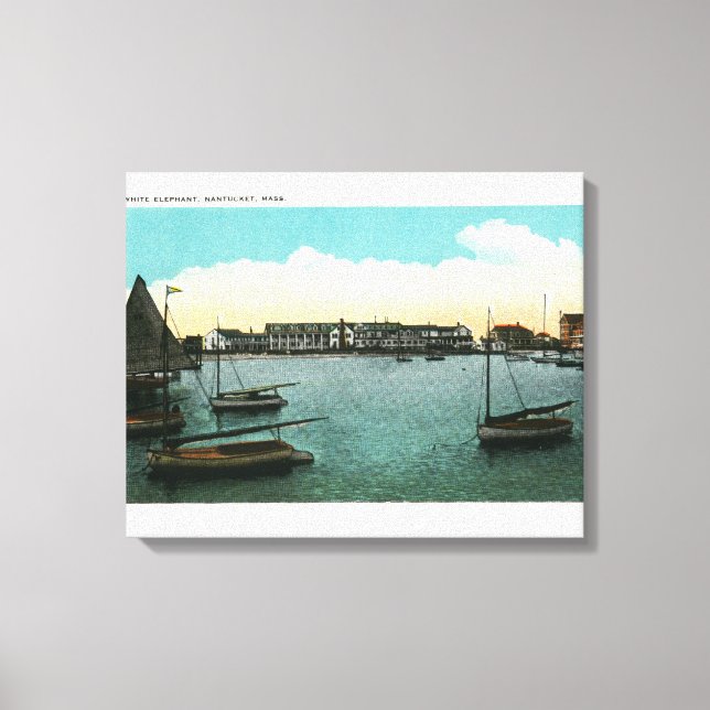 View of White Elephant Canvas Print (Front)