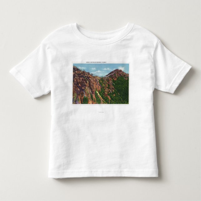 View of Whiteface Mt Summit Toddler T-Shirt (Front)