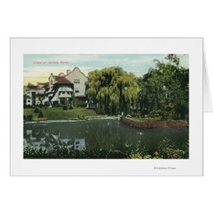 View of Willow Pond