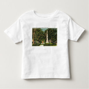 View of World War, Revolutionary War Memorials Toddler T-Shirt