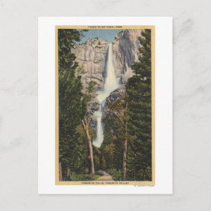 View of Yosemite Falls & Valley Postcard