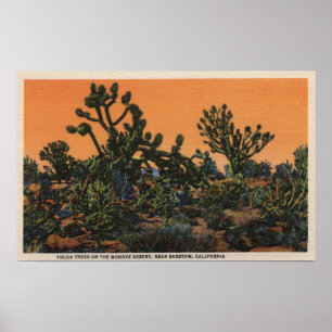View of Yucca Trees in the Mohave Desert Poster
