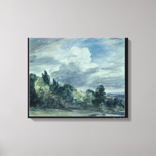 View over a wide landscape, with trees in the fore canvas print