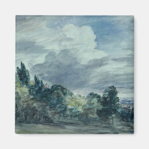 View over a wide landscape, with trees in the fore magnet