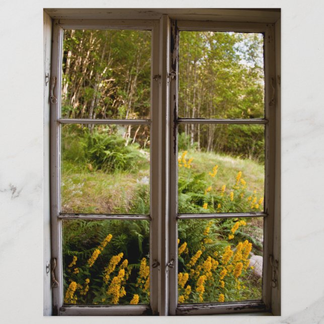 View through old window flyer (Front)