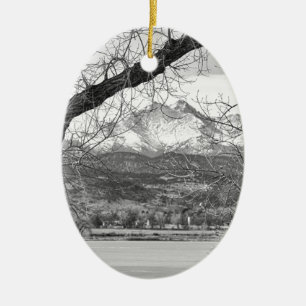 View Through The Trees To Longs Peak BW Ceramic Tree Decoration