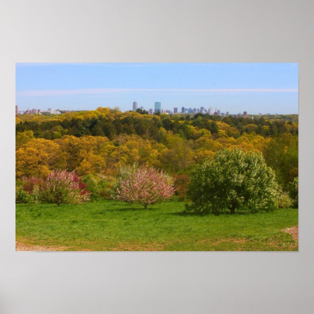 View to Boston from Peter's Hill, Arnold Arboretum Poster (Front)
