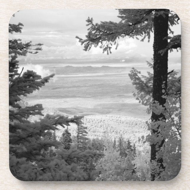 View west from crest of Sandia, Mountains, Coaster (Front)