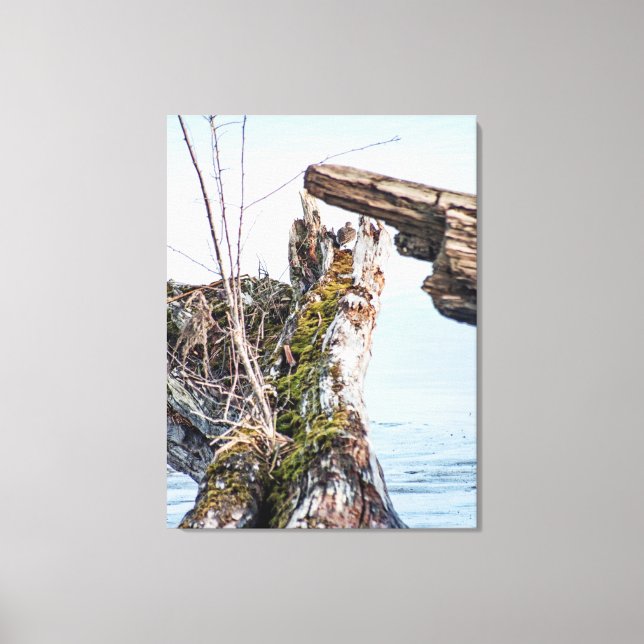 Viewing Box Canvas Print (Front)