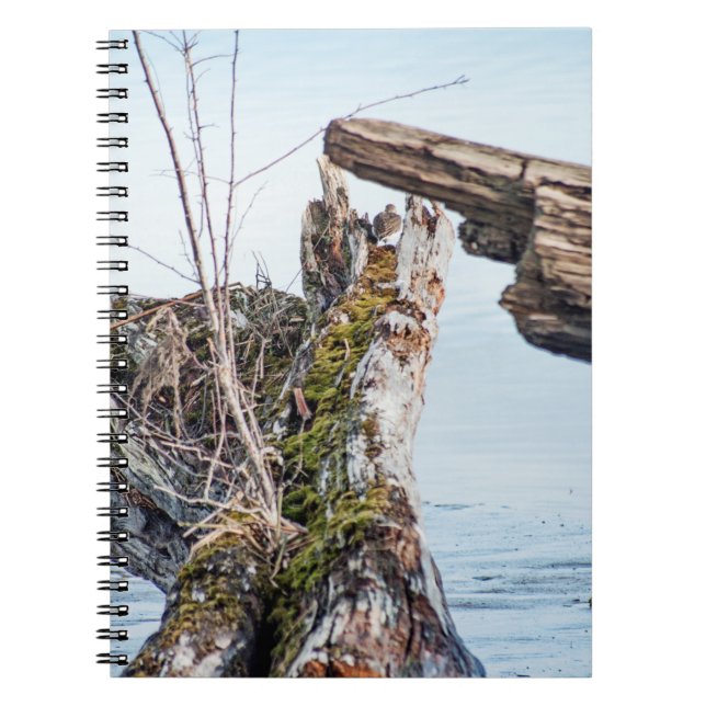 Viewing Box Spiral Notebook (Front)