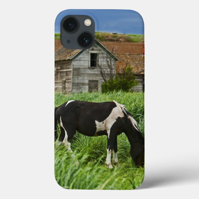 Viewing horses in a field in the Palouse 2 Case-Mate iPhone Case (Back)