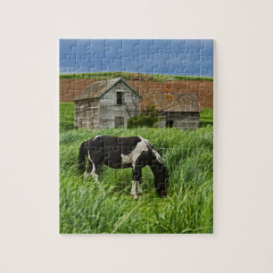 Viewing horses in a field in the Palouse 2 Jigsaw Puzzle