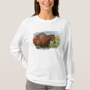 Viewing horses in a field in the Palouse 3 T-Shirt