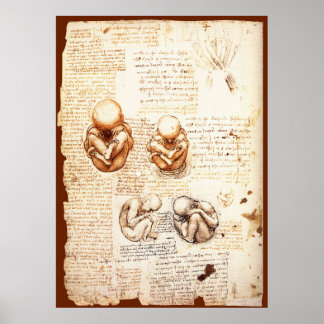 Views of a Foetus in the Womb,Ob-Gyn Medical Poster