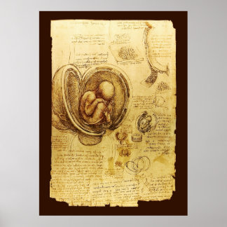 Views of a Foetus in the Womb,Ob-Gyn Medical Poster